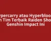 Hypercarry atau Hyperbloom, Pilih Tim Terbaik Raiden Shogun Genshin Impact Ini
