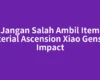 Jangan Salah Ambil Item Material Ascension Xiao Genshin Impact